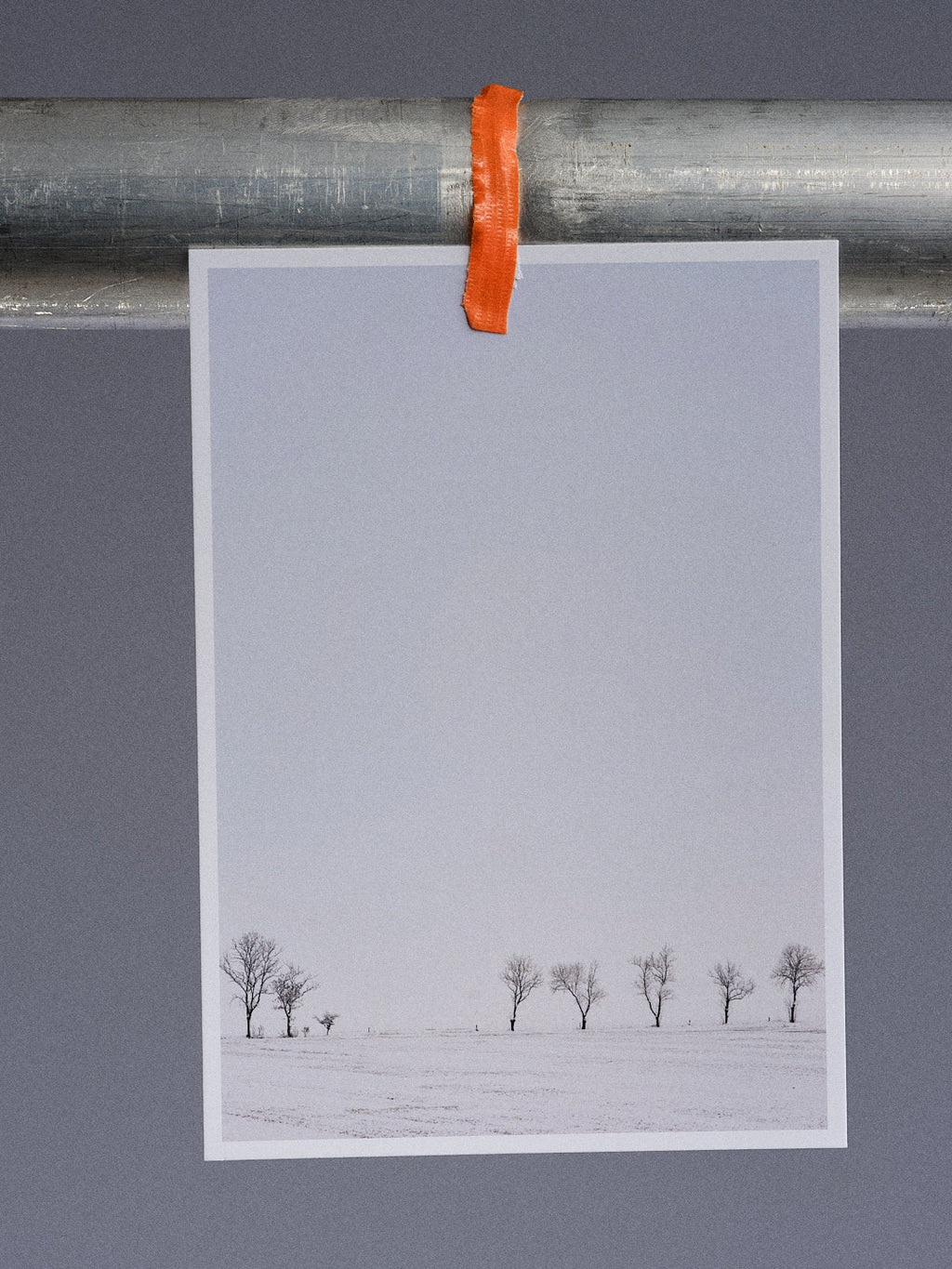 Postkarte: Acht Bäume im Schnee (Carolinensiel) (Kopie)