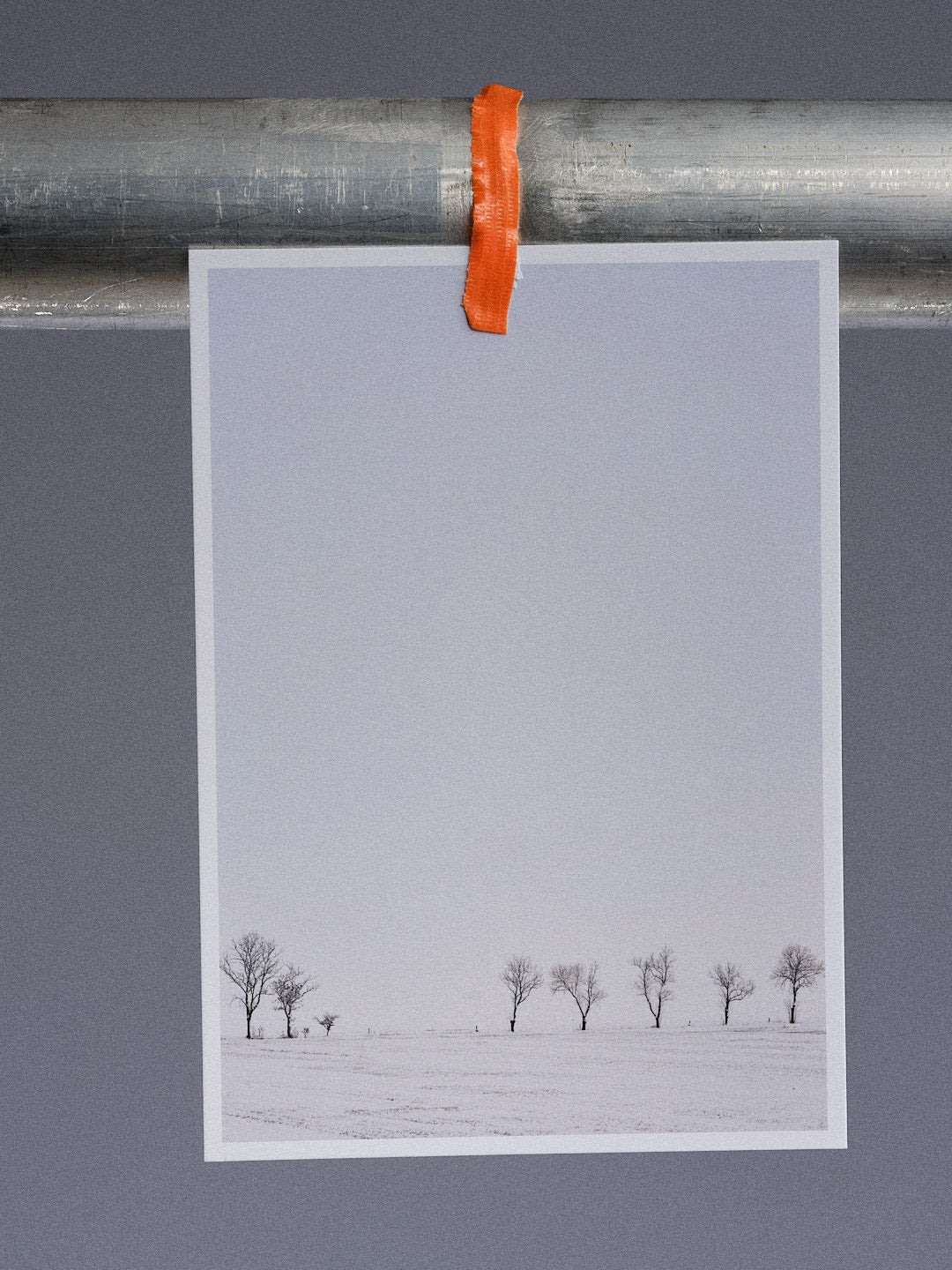 Postkarte: Acht Bäume im Schnee (Carolinensiel) (Kopie)